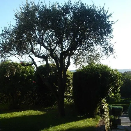 Shambhala Mougins